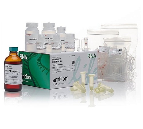 Набор реагента TRIzol Plus Purification Kit и пробирок Phasemaker, Thermo FS Набор реагента TRIzol Plus Purification Kit и пробирок Phasemaker, Thermo FS